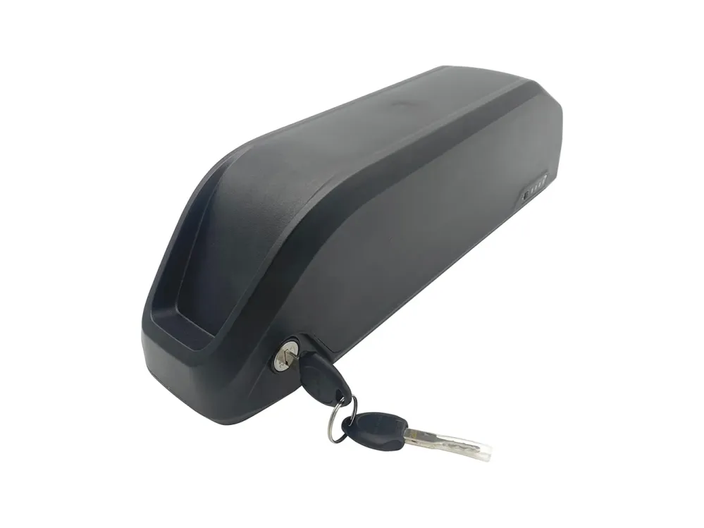 Akumulator litowo-jonowy 48 V - 17,5 Ah/840 Wh do roweru elektrycznego Cargobike DeLight
