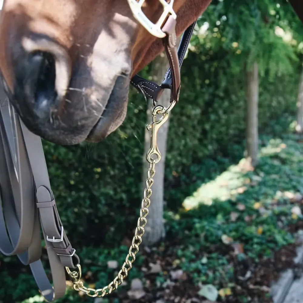 Łńcuch Stallion Kentucky
