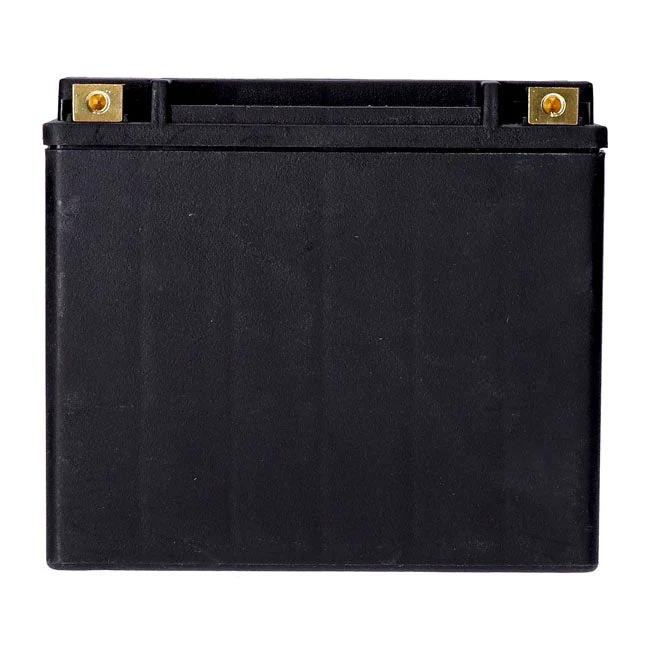 MCS Akumulator AGM 12V 20Ah 320CCA