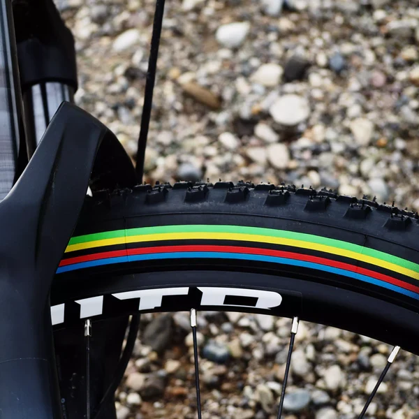 VITTORIA BARZO XC 29x2.10 "UCI Rainbow Edition" Opona bezdętkowa, miękka, czarna