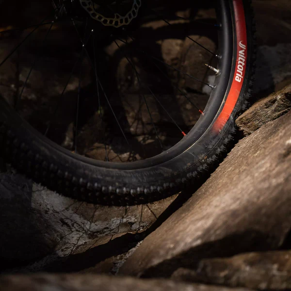 VITTORIA MARTELLO ENDURO RACE 29x2.40 Graphene/Silica Tubeless Ready Miękka opona w kolorze czarnym