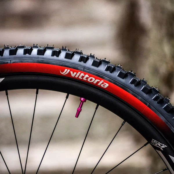 VITTORIA MAZZA ENDURO RACE 29x2.40 Graphene/Silica Tubeless Ready Miękka opona w kolorze czarnym