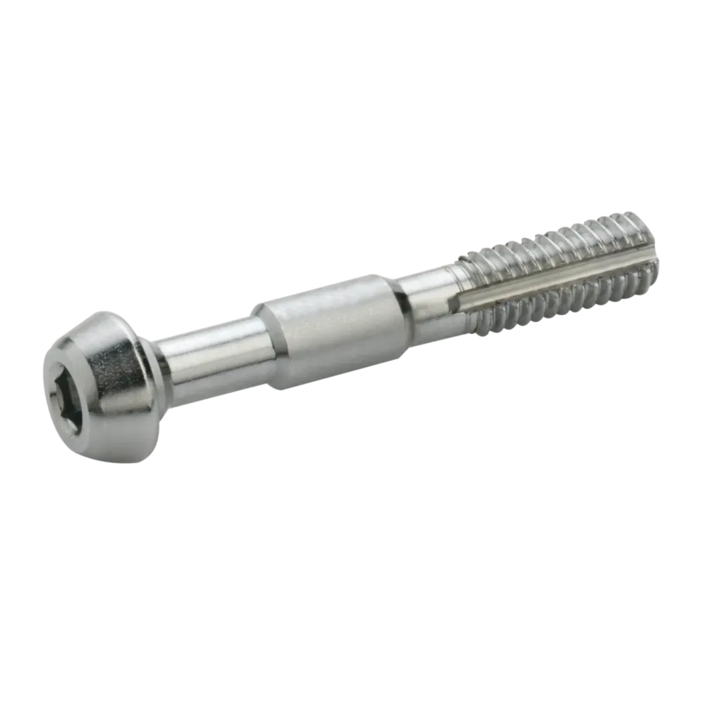 Zestaw 2 śrub ze stali nierdzewnej ELVEDES do Shimano Banjo