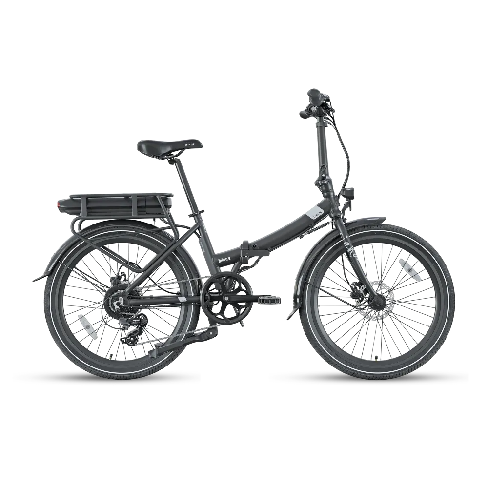 Siena Strawberry Legend eBikes