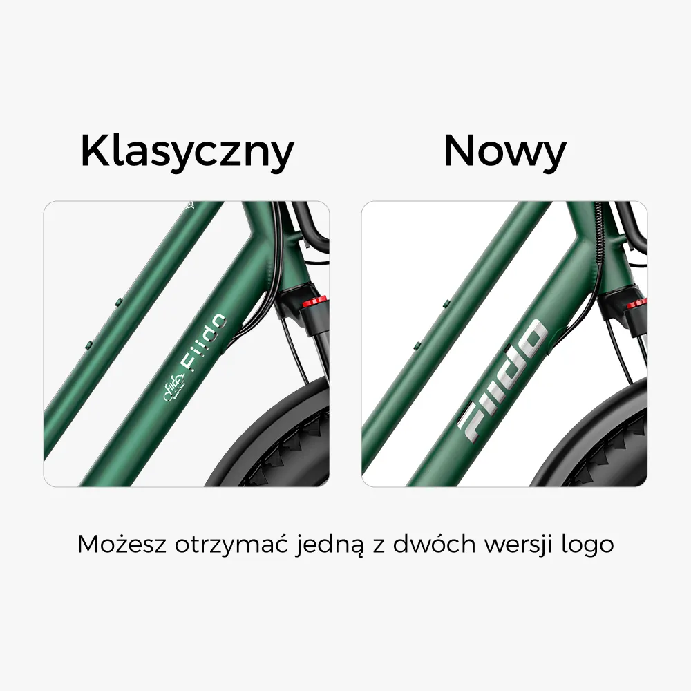 Fiido T2 Elektryczny rower cargo typu longtail Fatbike Fiido EU