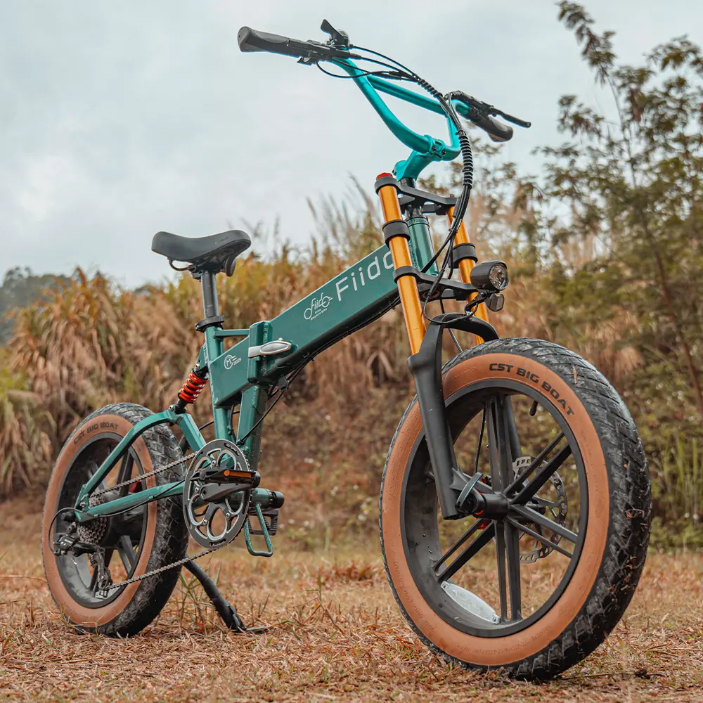 Fiido M1 Pro Elektryczny rower na Fatbike