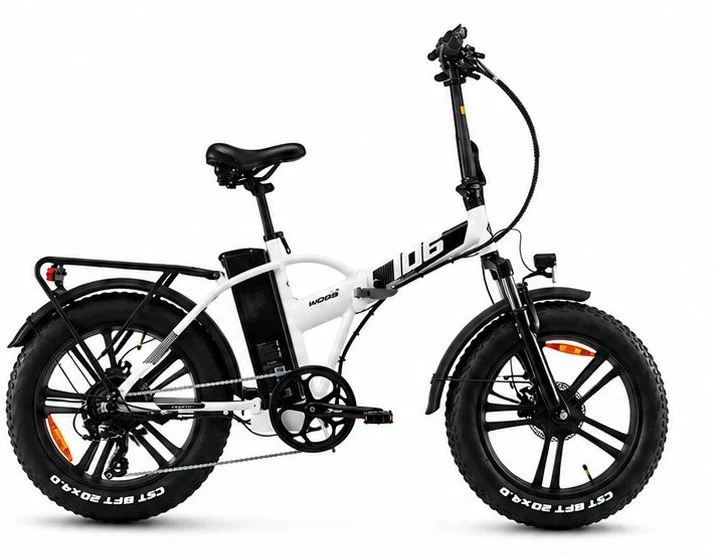 WD Rockers 160 Fat 20" 48v - 750Wh World dimension