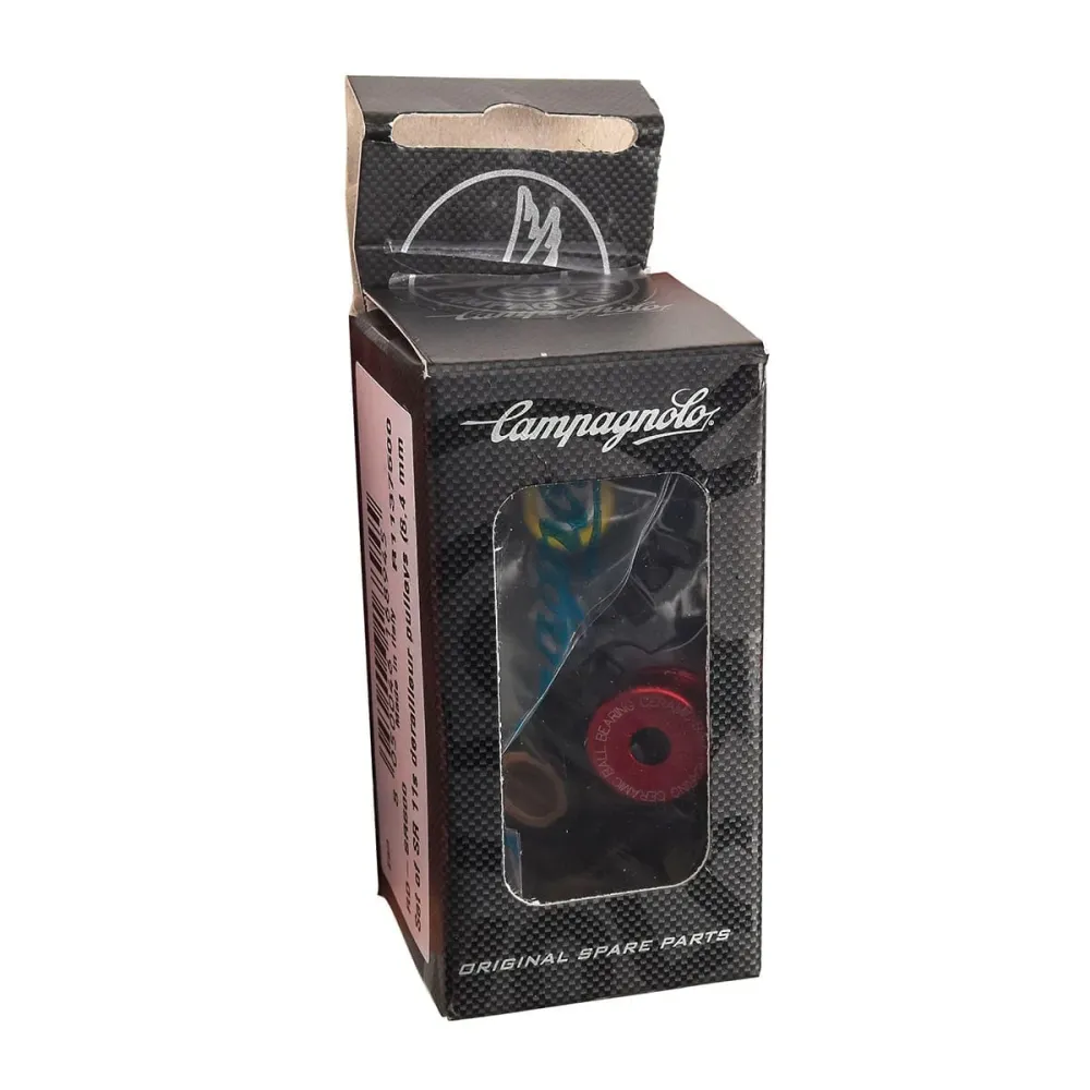 Przerzutka tylna CAMPAGNOLO RD-SR600 11V
