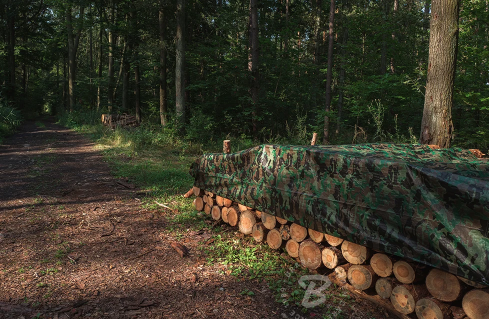 Plandeka kamuflażowa CAMOforest 3 x 5 m 90 g do ochrony i maskowania | PLCF903/5