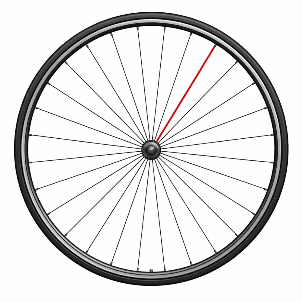CAMPAGNOLO SHAMAL ULTRA szprycha tylna lewa 2010-2016 276,5 mm (x1)