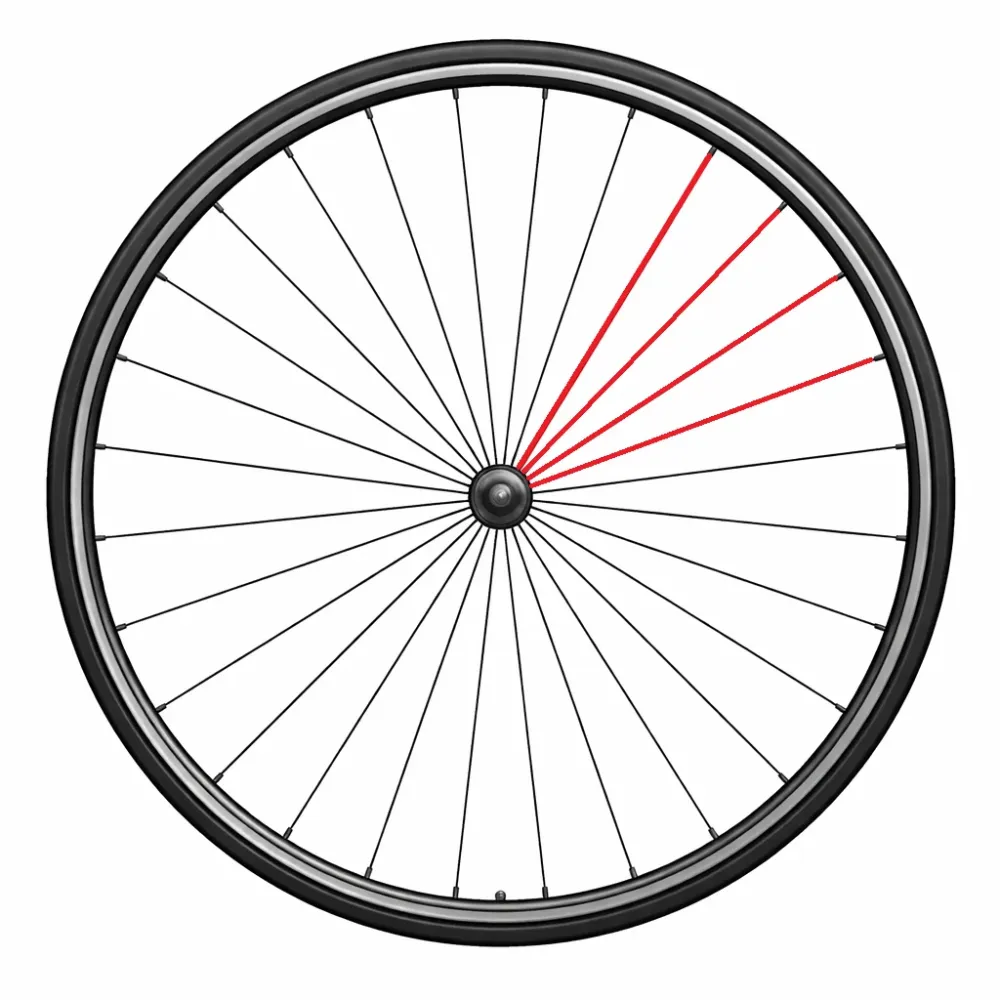 Zestaw 4 szprych CAMPAGNOLO + nyple BORA ONE/ULTRA 50 lewy przód i tył