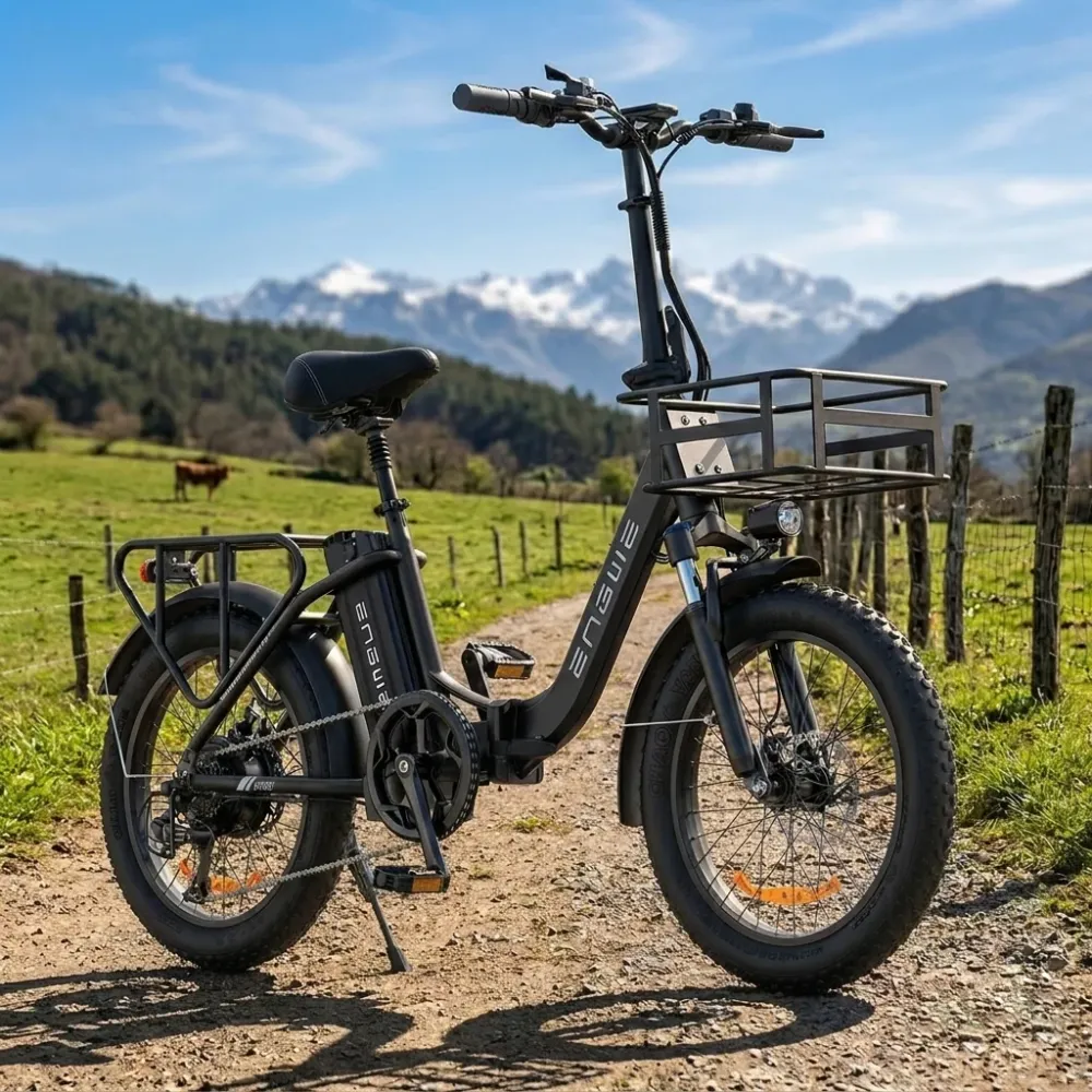 Engwe L20 SE 250W 20" Składany Rower Elektryczny 561Wh Rower Trekkingowy E-bike z Niskim Przekrokiem 36V 15.6Ah Bateria