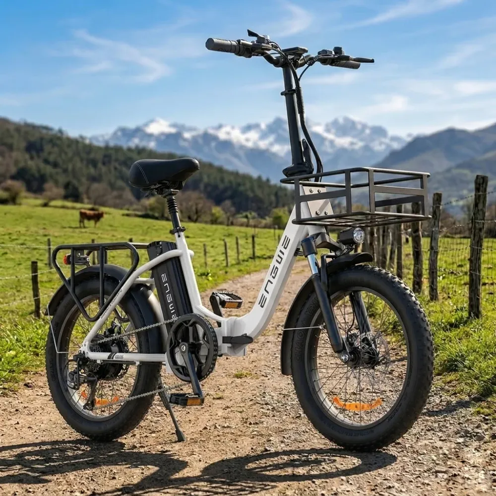 Engwe L20 SE 250W 20" Składany Rower Elektryczny 561Wh Rower Trekkingowy E-bike z Niskim Przekrokiem 36V 15.6Ah Bateria
