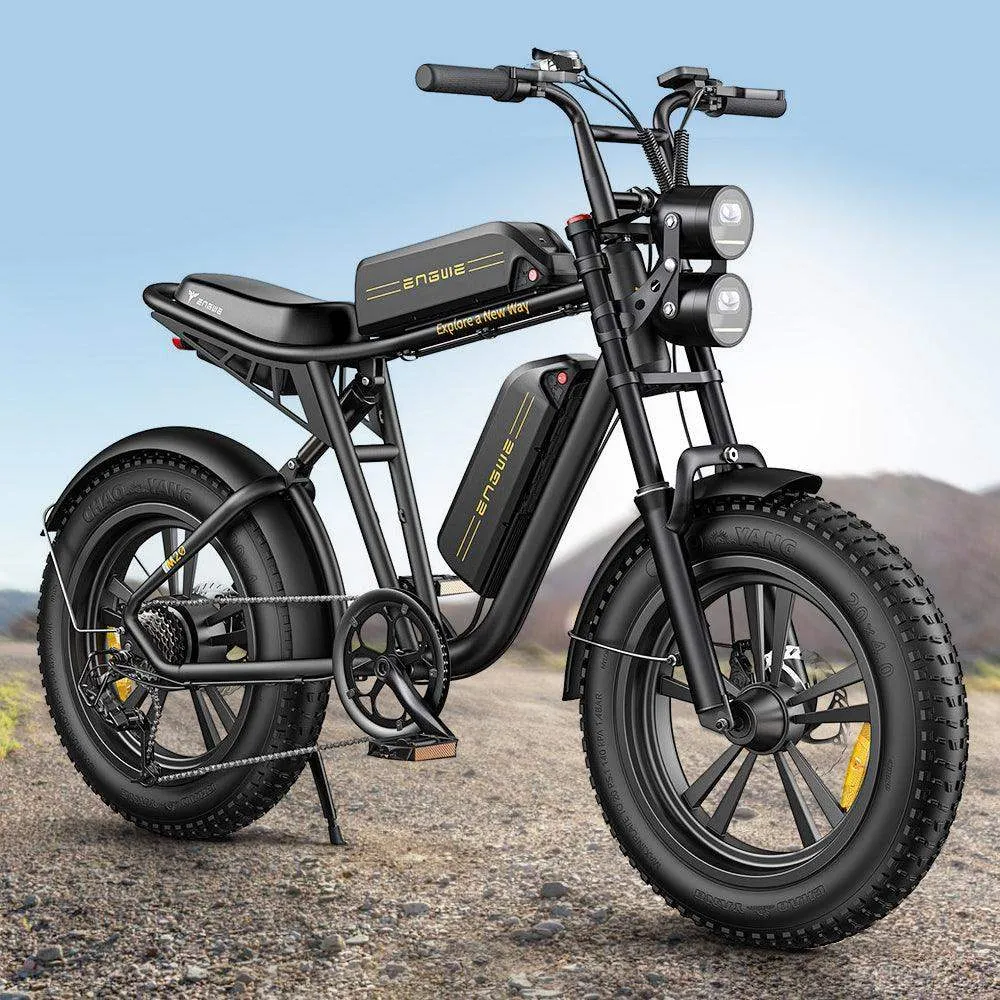 Engwe M20 750W 20" Fat Bike E Mountain Bike EMTB