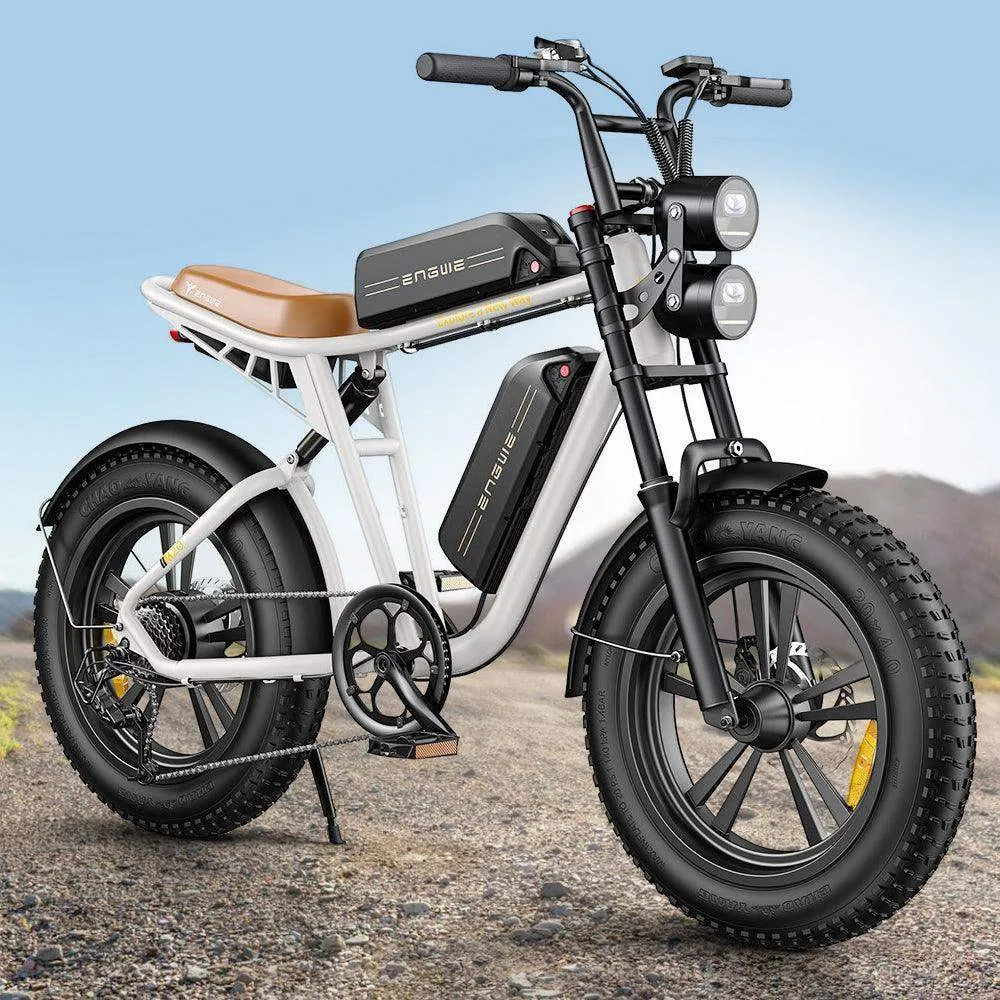 Engwe M20 750W 20" Fat Bike E Mountain Bike EMTB
