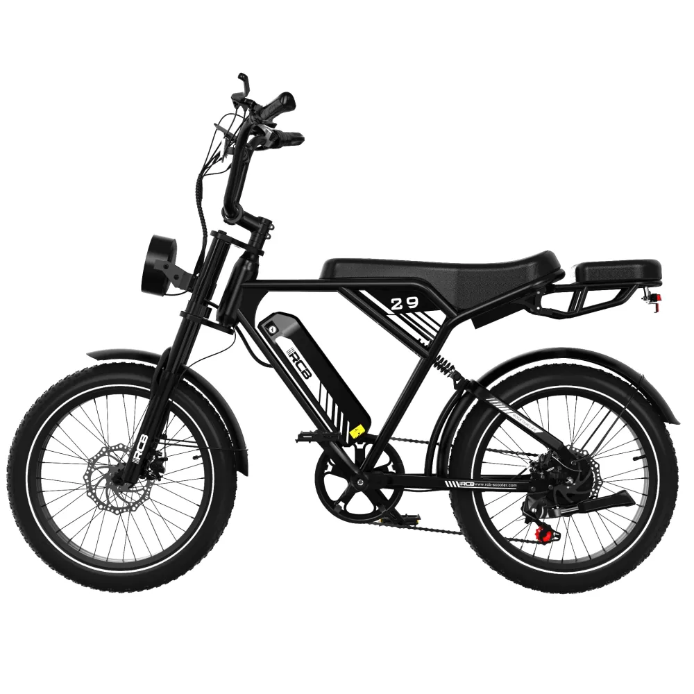Rower elektryczny RCB RK29 dla dorosłych (RCB E BIKE) RCB-EU