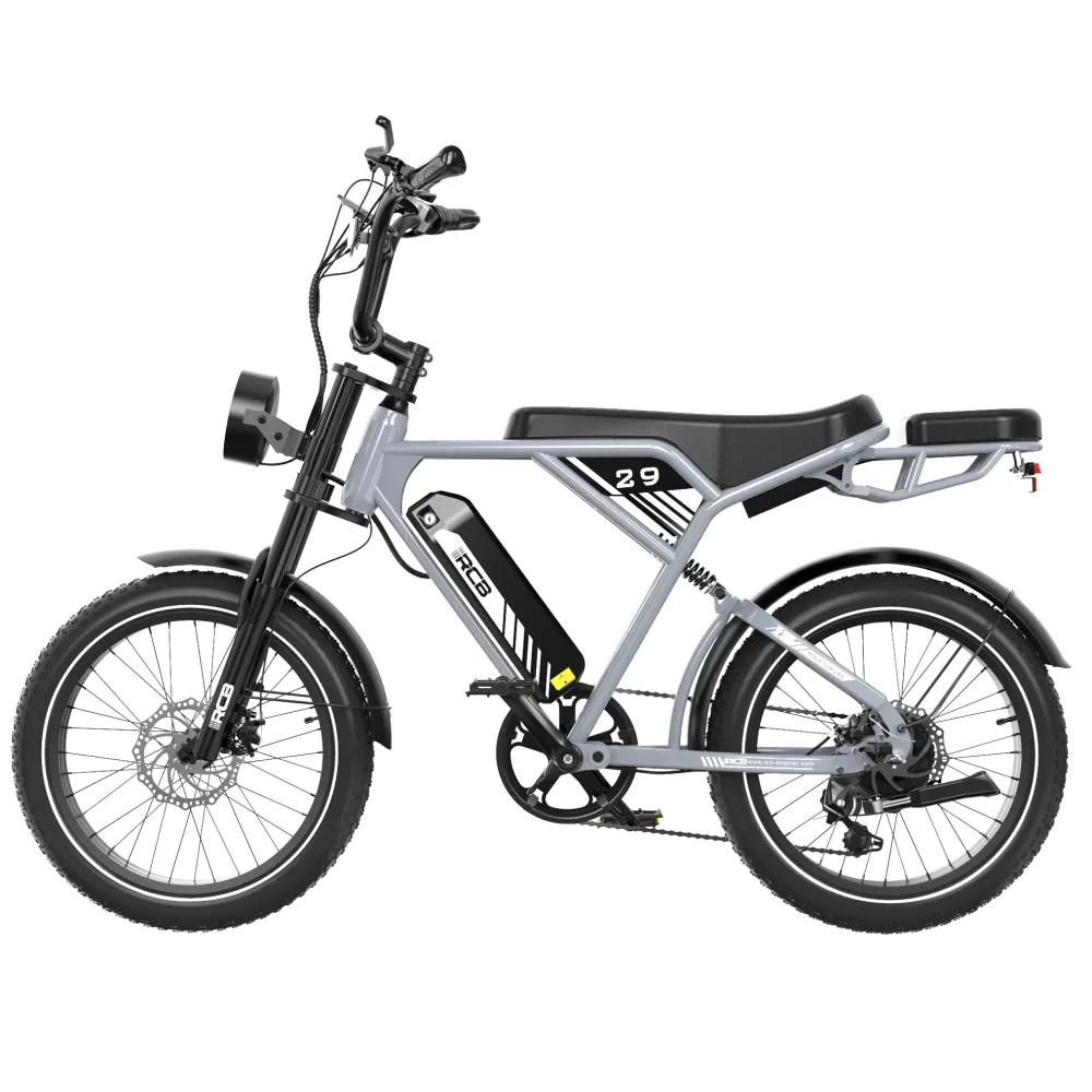 Rower elektryczny RCB RK29 dla dorosłych (RCB E BIKE) RCB-EU