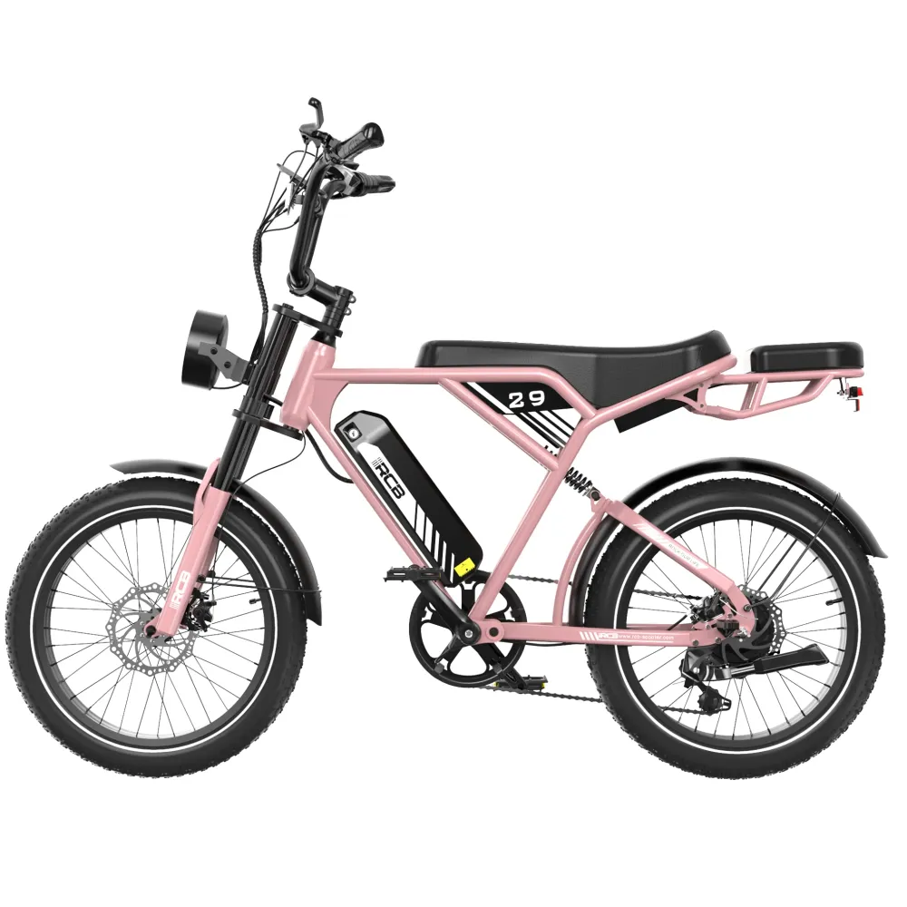 Rower elektryczny RCB RK29 dla dorosłych (RCB E BIKE) RCB-EU