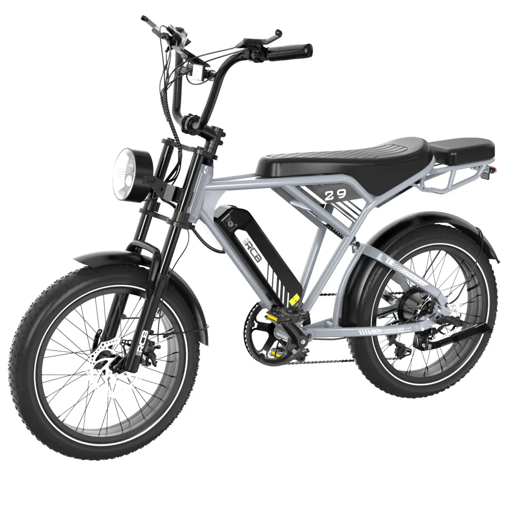 Rower elektryczny RCB RK29 dla dorosłych (RCB E BIKE) RCB-EU