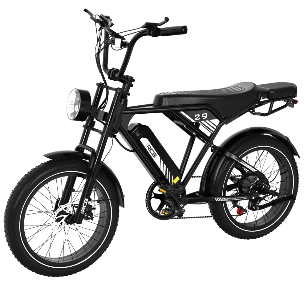 Rower elektryczny RCB RK29 dla dorosłych (RCB E BIKE) RCB-EU