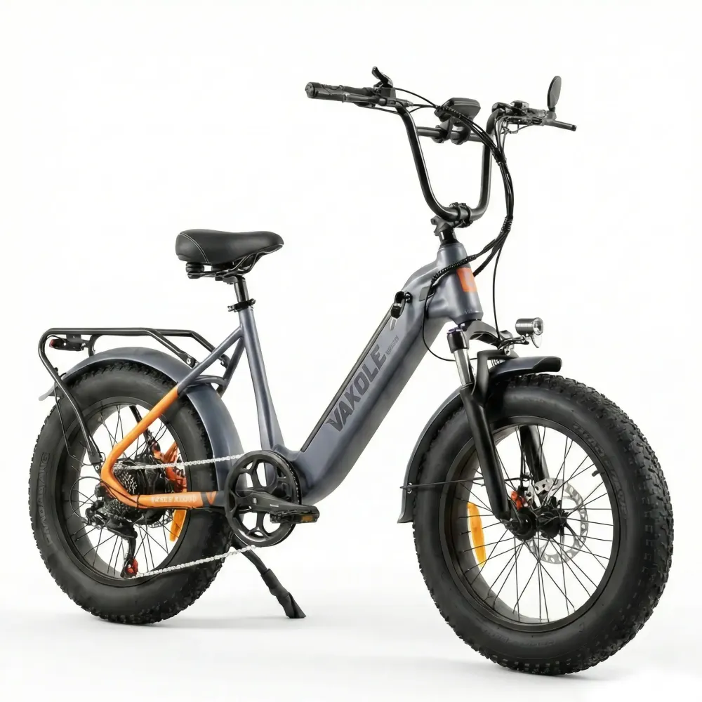 Vakole SG20 250W 20" Rower Elektryczny Użytkowy Fat Bike 691Wh 48V 14,4Ah Bateria